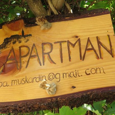 Apartman Biba Lubenice Kültér fotó